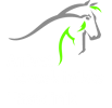 Hevosklinikka Anivet logo