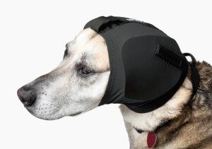 Rex Specs Ear Pro Koiran Kuulosuojaimet