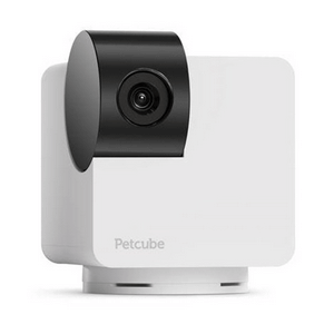 Petcube Cam 360