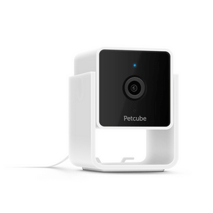 Petcube Pet Kamera