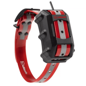 Lafayette GPS C40 GSM LTE Koiratutka